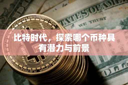 比特时代，探索哪个币种具有潜力与前景