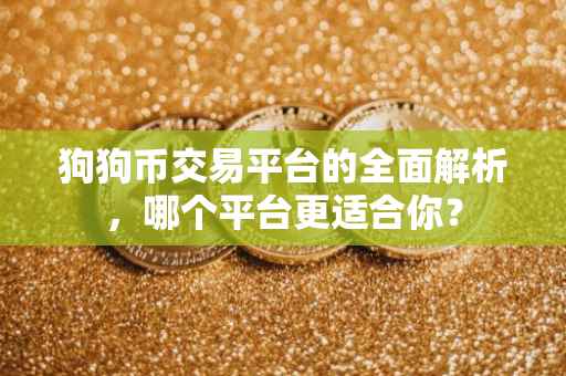 狗狗币交易平台的全面解析，哪个平台更适合你？