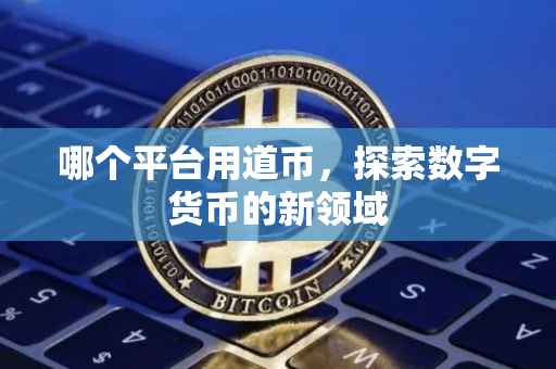 哪个平台用道币，探索数字货币的新领域