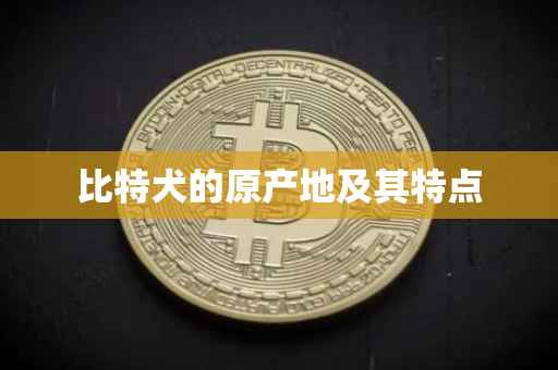 比特犬的原产地及其特点