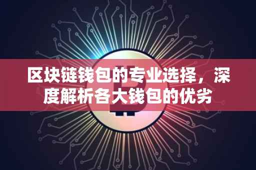 区块链钱包的专业选择，深度解析各大钱包的优劣