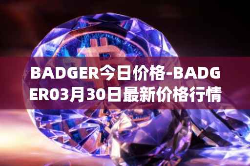 BADGER今日价格-BADGER03月30日最新价格行情-badger-dao最新走势消息