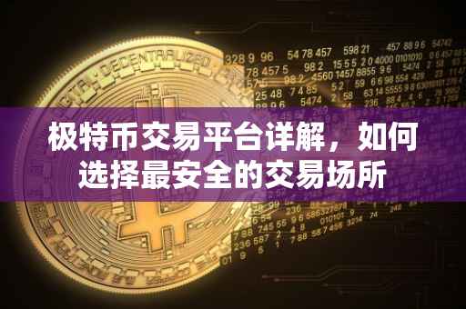 极特币交易平台详解，如何选择最安全的交易场所