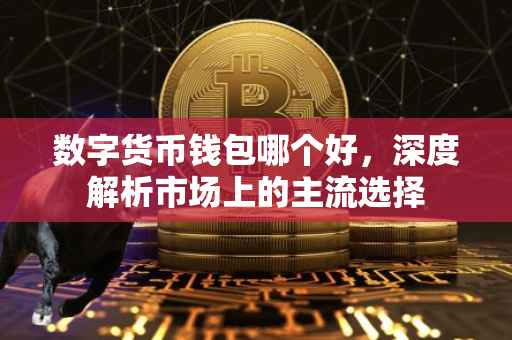 数字货币钱包哪个好，深度解析市场上的主流选择