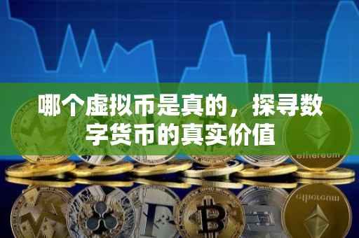 哪个虚拟币是真的，探寻数字货币的真实价值
