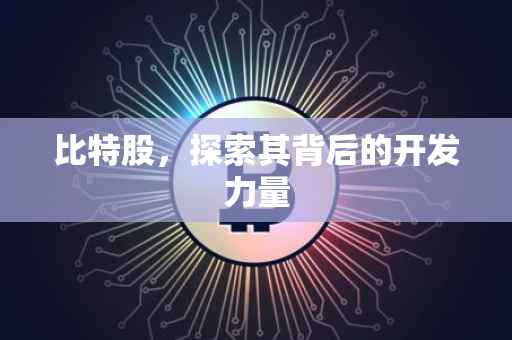 比特股，探索其背后的开发力量