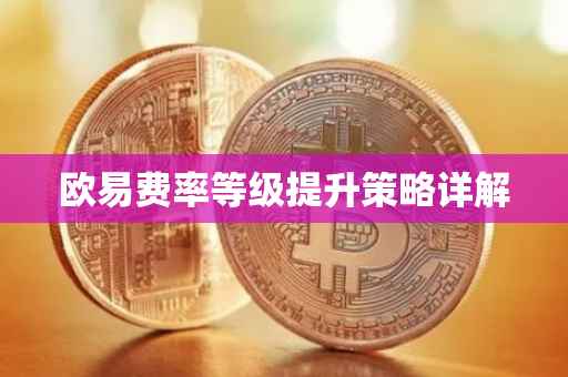 欧易费率等级提升策略详解