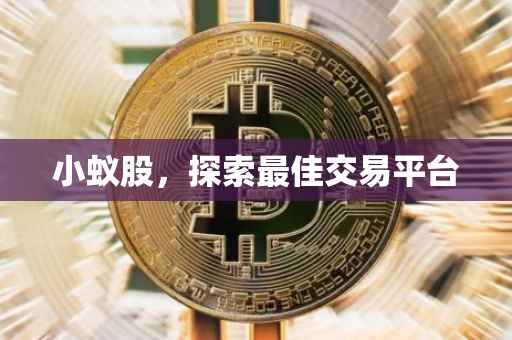 小蚁股，探索最佳交易平台