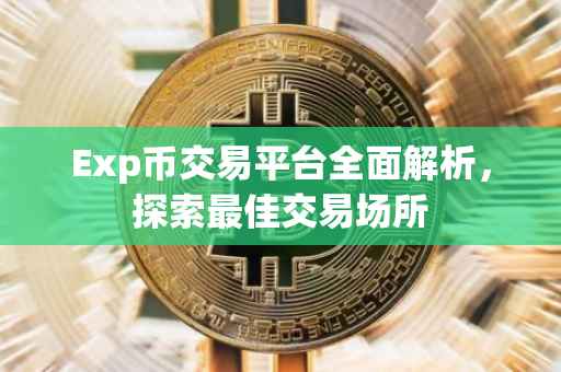 Exp币交易平台全面解析，探索最佳交易场所