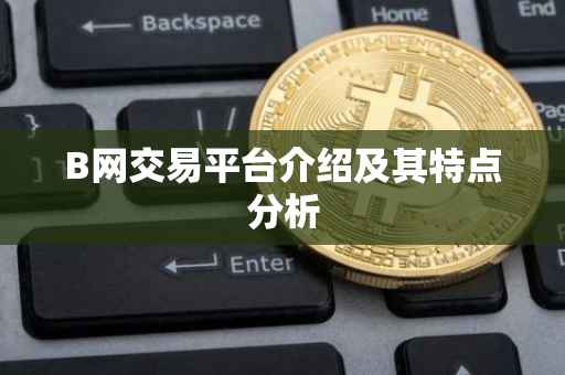 B网交易平台介绍及其特点分析