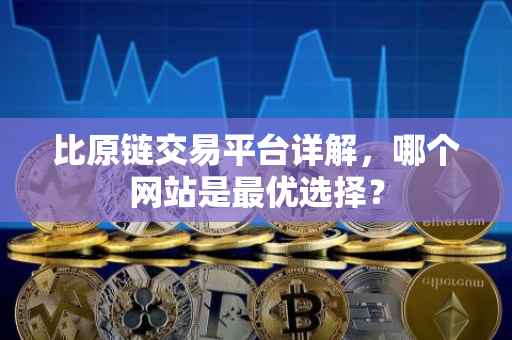 比原链交易平台详解，哪个网站是最优选择？
