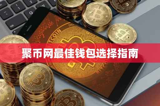 聚币网最佳钱包选择指南