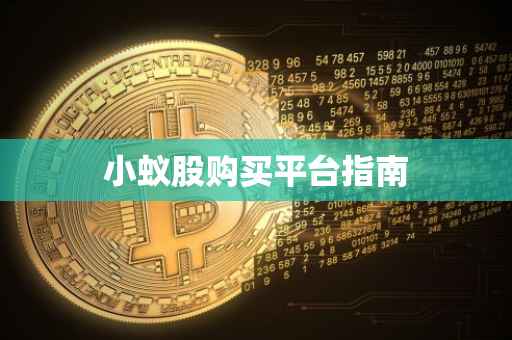 小蚁股购买平台指南