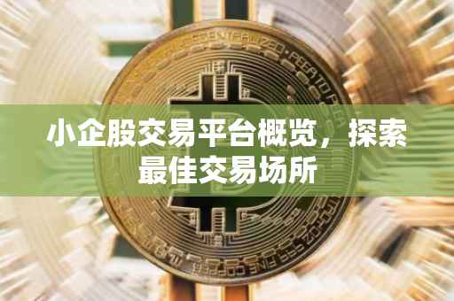小企股交易平台概览，探索最佳交易场所