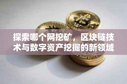 探索哪个网挖矿，区块链技术与数字资产挖掘的新领域