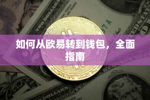 如何从欧易转到钱包，全面指南