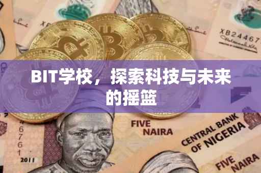 BIT学校，探索科技与未来的摇篮