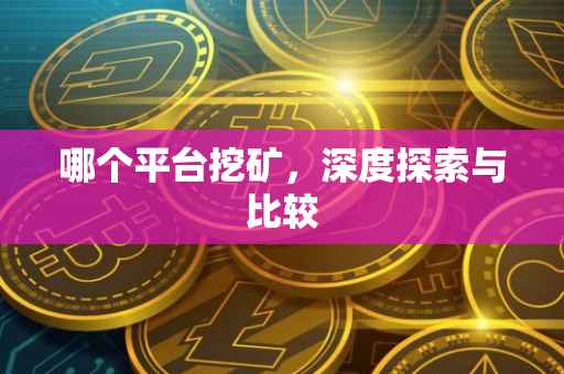 哪个平台挖矿，深度探索与比较