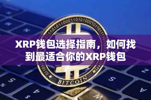 XRP钱包选择指南，如何找到最适合你的XRP钱包