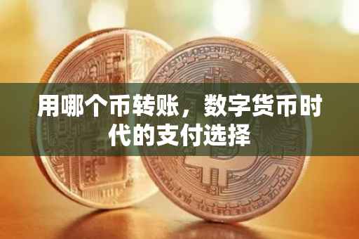 用哪个币转账，数字货币时代的支付选择