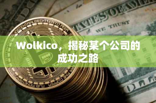 Wolkico，揭秘某个公司的成功之路