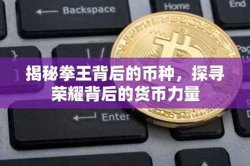 揭秘拳王背后的币种，探寻荣耀背后的货币力量