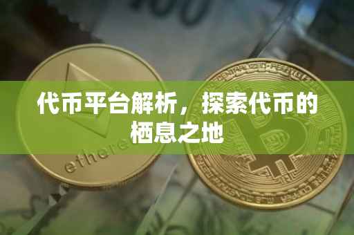 代币平台解析，探索代币的栖息之地