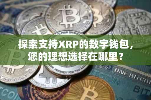 探索支持XRP的数字钱包，您的理想选择在哪里？