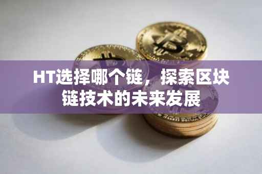 HT选择哪个链，探索区块链技术的未来发展