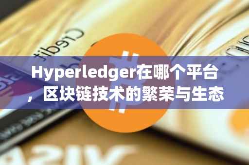 Hyperledger在哪个平台，区块链技术的繁荣与生态系统的发展