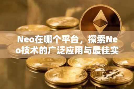 Neo在哪个平台，探索Neo技术的广泛应用与最佳实践平台