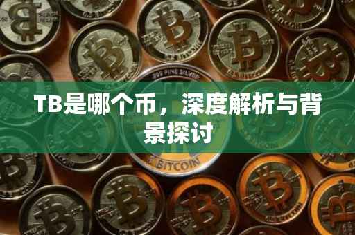 TB是哪个币，深度解析与背景探讨