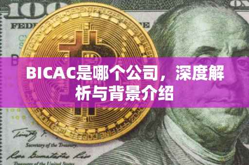 BICAC是哪个公司，深度解析与背景介绍