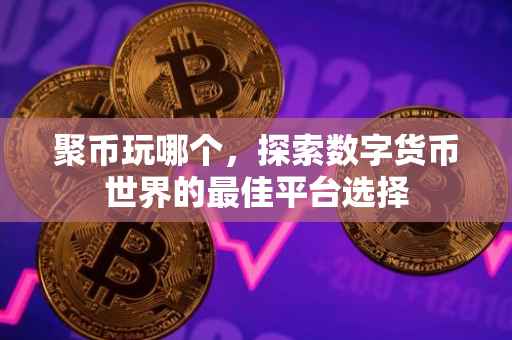 聚币玩哪个，探索数字货币世界的最佳平台选择