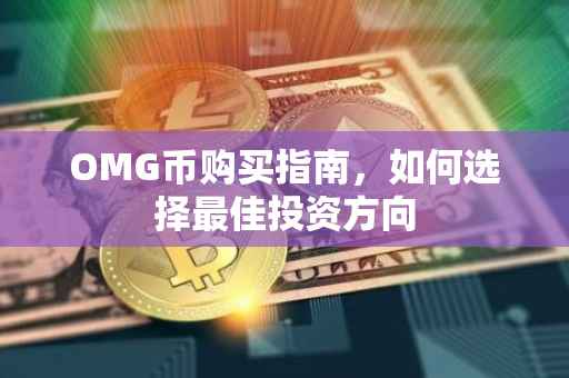 OMG币购买指南，如何选择最佳投资方向