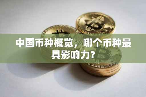中国币种概览，哪个币种最具影响力？