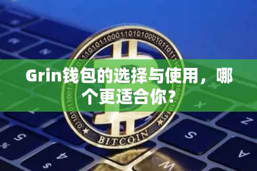 Grin钱包的选择与使用，哪个更适合你？