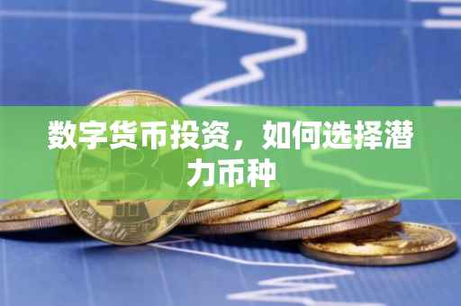 数字货币投资，如何选择潜力币种