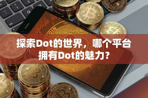 探索Dot的世界，哪个平台拥有Dot的魅力？