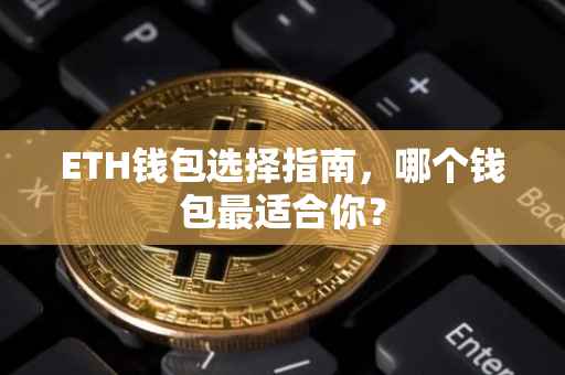 ETH钱包选择指南，哪个钱包最适合你？