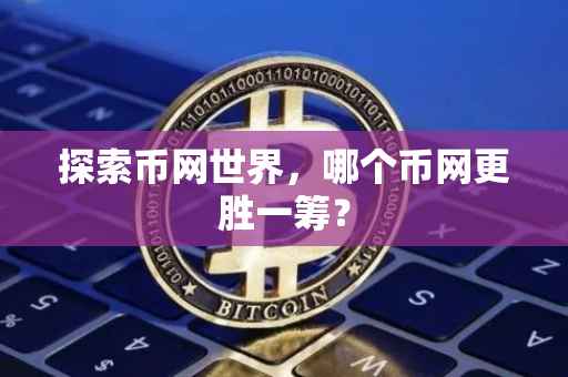 探索币网世界，哪个币网更胜一筹？