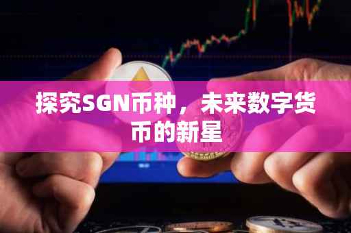 探究SGN币种，未来数字货币的新星