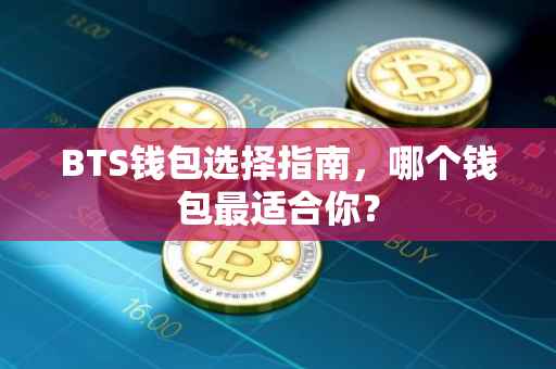BTS钱包选择指南，哪个钱包最适合你？