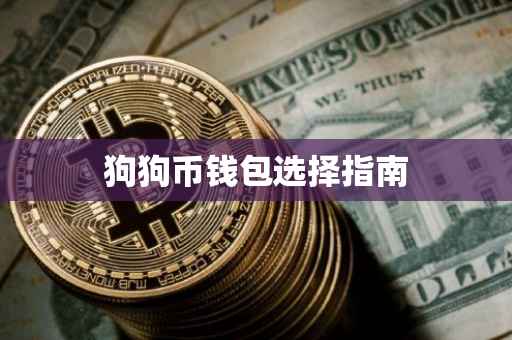 狗狗币钱包选择指南