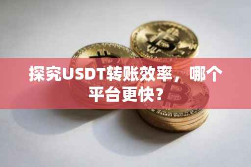 探究USDT转账效率，哪个平台更快？