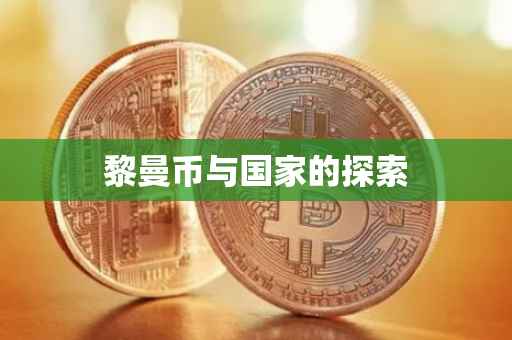 黎曼币与国家的探索