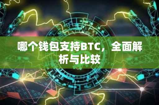 哪个钱包支持BTC，全面解析与比较
