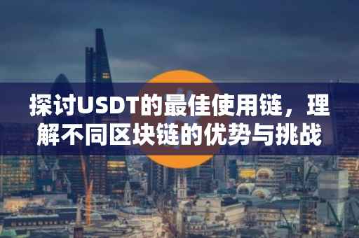 探讨USDT的最佳使用链，理解不同区块链的优势与挑战