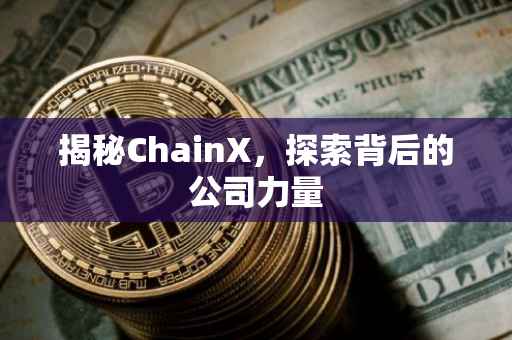 揭秘ChainX，探索背后的公司力量