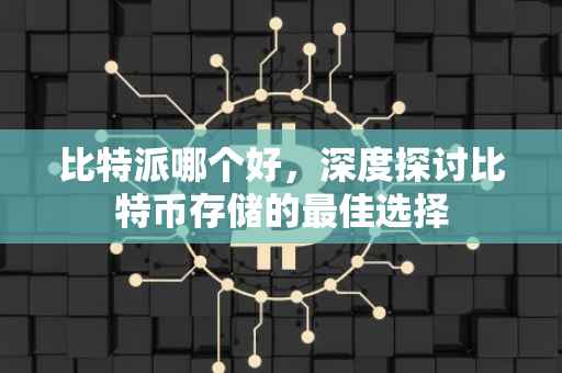 比特派哪个好，深度探讨比特币存储的最佳选择